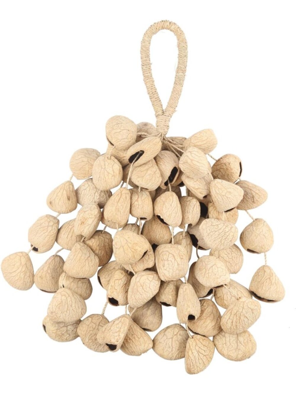 Panji-70 Seed Shaker Instrument for Cacho Seeds - Rattle Shell Design - Picture 1 of 6